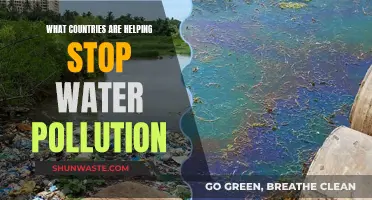 Global Efforts: Countries Leading the Fight Against Water Pollution