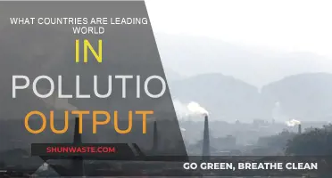 Who Pollutes the Most? Global Pollution Leaders