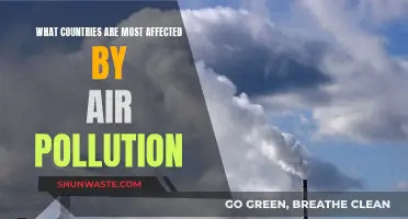 Air Pollution's Worst Victims: A Global Health Crisis