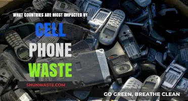 Global Crisis: Which Nations Bear the Brunt of Cell Phone Waste?