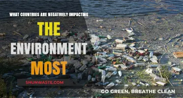 Top Polluters: Countries Causing the Most Environmental Damage Globally