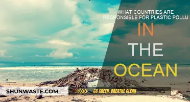Who Pollutes Our Oceans? Plastic Waste's Culprits