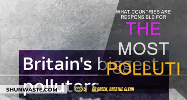 Who Pollutes the Most?