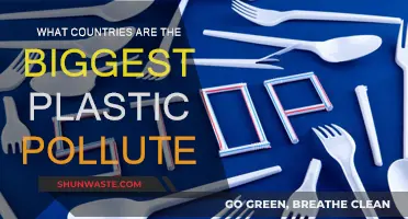 Plastic Pollution: Worst Offenders and Their Impact