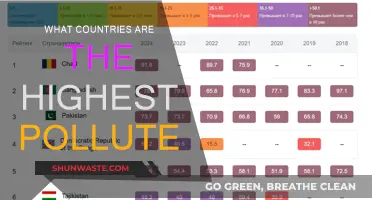 Who Pollutes the Most? Global Emissions, Ranked