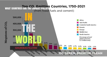 Who Pollutes the Most? Global Emissions, Ranked