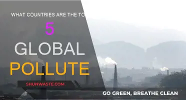 Global Polluters: Top 5 Countries Hurting Our Planet