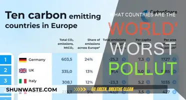 Who Pollutes the Most? Global Emissions, Ranked