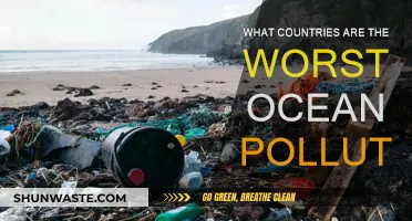 Ocean Polluters: Which Countries are the Worst Offenders?