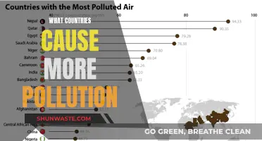 Global Polluters: Unveiling the Top Countries' Environmental Impact