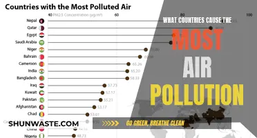 Global Air Pollutants: Unveiling the Top Contributors to Environmental Degradation