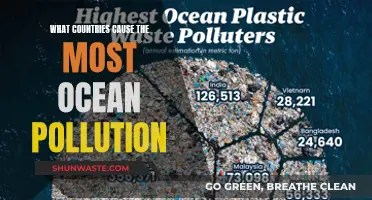 Ocean's Burden: Unveiling the Top Polluters