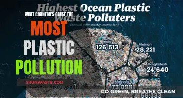 Global Plastic Pollution: Uncovering the Top Offenders