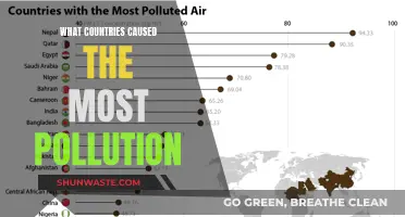 Global Polluters: Unveiling the Top Countries' Impact