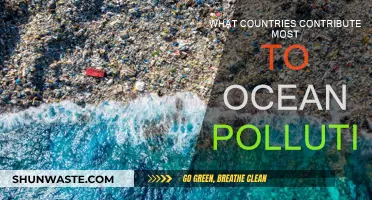 Who Pollutes Our Oceans the Most?
