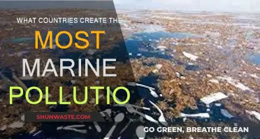 Who Pollutes Our Oceans the Most?