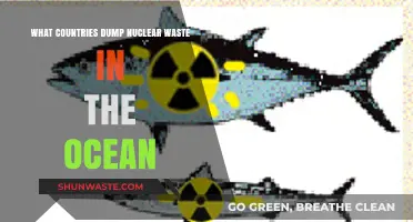 Oceanic Nuclear Waste Dumping: Which Countries Are Responsible?