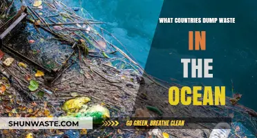 Ocean Pollution Crisis: Which Nations Dump Waste into Our Seas?