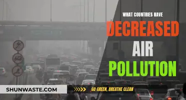 Air Pollution Success Stories: Nations Leading the Way
