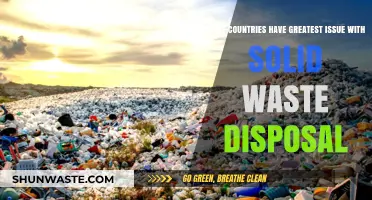 Global Garbage Crisis: Countries Struggling with Solid Waste Disposal