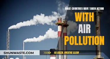 Which Nations Are Fighting Air Pollution?