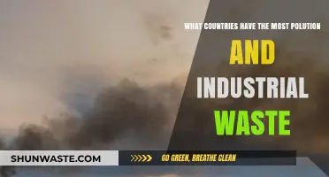 Global Pollution Crisis: Top Countries with Industrial Waste Issues