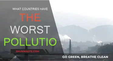 Pollution's Worst Offenders: A Global Rundown
