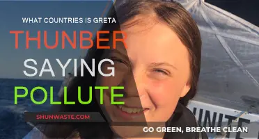 Greta Thunberg's Criticism of Polluting Countries