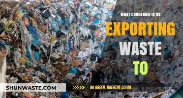 Where Does US Waste Go? Exploring Global Export Destinations
