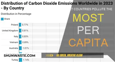 Who Pollutes the Most? A Per Capita Emissions Overview