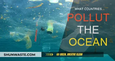 Ocean Polluters: Which Countries Are the Worst Offenders?