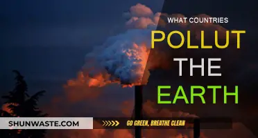 Who Pollutes Our Earth?