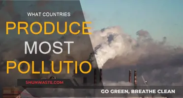 Pollution's Worst Offenders: Top Polluting Countries Revealed