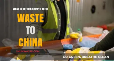 Global Waste Exports: Which Nations Relied on China's Recycling?