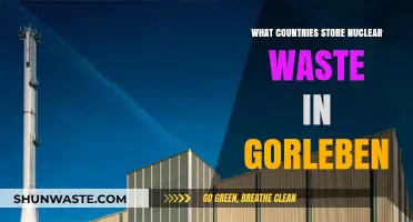 Gorleben's Nuclear Legacy: Countries Storing Waste in Germany's Controversial Site