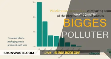Who's the Biggest Polluter?