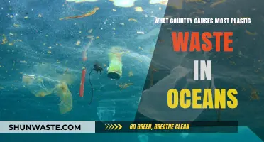 Ocean Plastic Crisis: Which Country Contributes the Most Waste?
