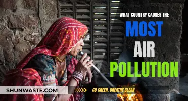 Which Country is the Biggest Air Polluter?
