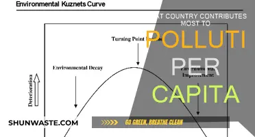 Who Pollutes the Most? Country-Level Insights