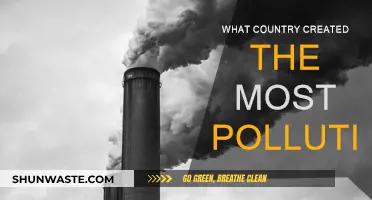 Pollution's Worst Offenders: Which Country Leads?