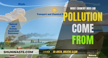 Air Pollution: Global Crisis, Global Solution