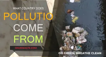 Pollution's Global Sources and Their Impact