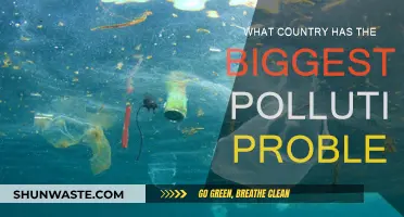 Which Country Suffers Most from Pollution?