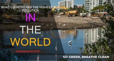 Soil Pollution: Which Country Has the Dirtiest Dirt?