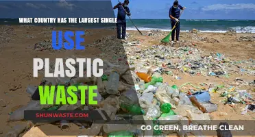 Global Plastic Crisis: Which Nation Tops Single-Use Waste Generation?