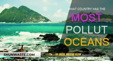 Ocean Pollution: Which Country is the Worst Offender?