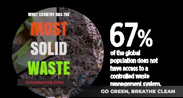 Global Waste Crisis: Which Country Produces the Most Solid Waste?