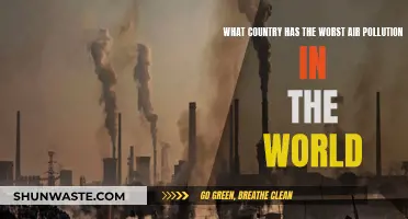 Air Pollution: The World's Worst Offenders