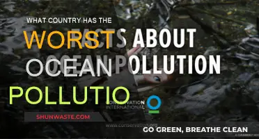Ocean Pollution: Which Country is the Worst Offender?
