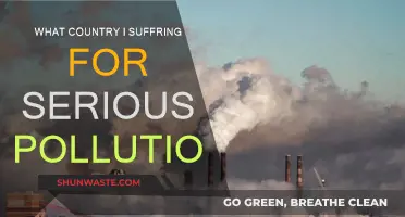 Pollution's Heavy Toll: A Country's Suffering
